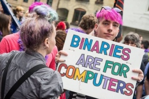 Source: https://jerbearinsantafe.wordpress.com/2015/01/07/to-queer-for-your-binary/